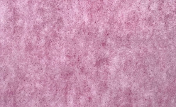 Mr Beam Esterillas de prefiltro, 5uds